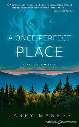 A Once Perfect Place